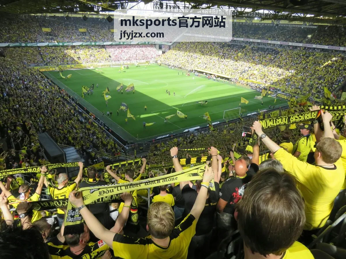 mksports官方网站客户端主界面概览