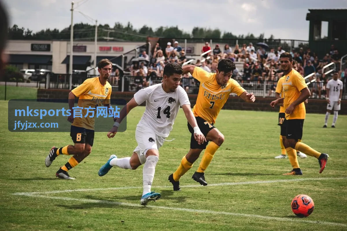 mksports官方网站客户端扫码下载入口