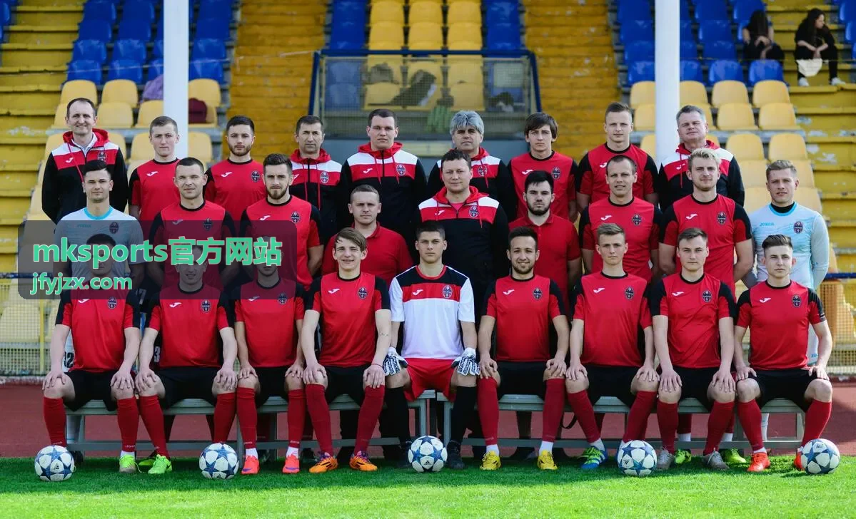 mksports官方网站客户端数据看板界面
